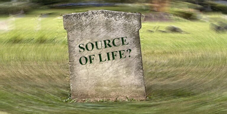 Is Life Itself a Memorial?