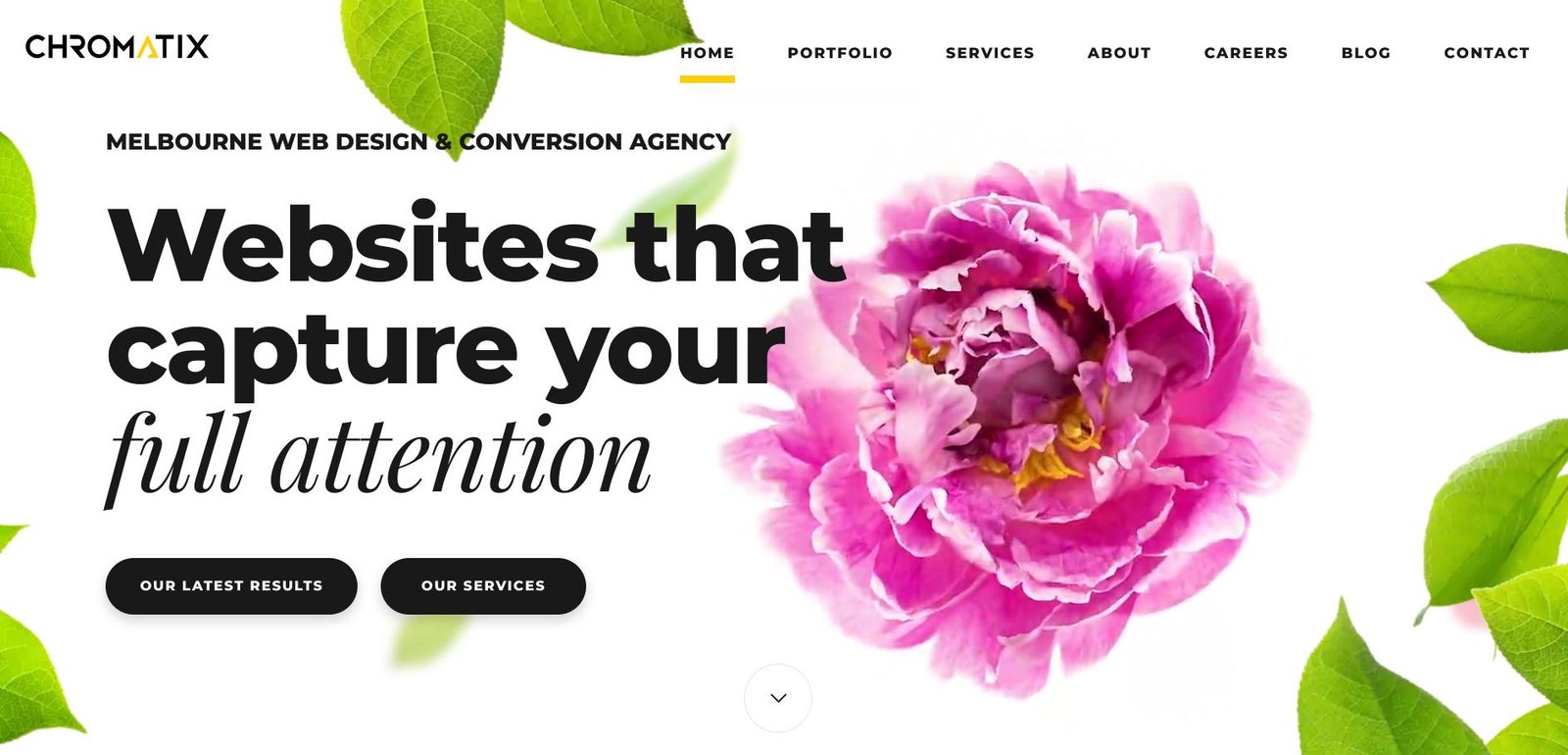 Chromatix website home page showing a bright pink flower and text.